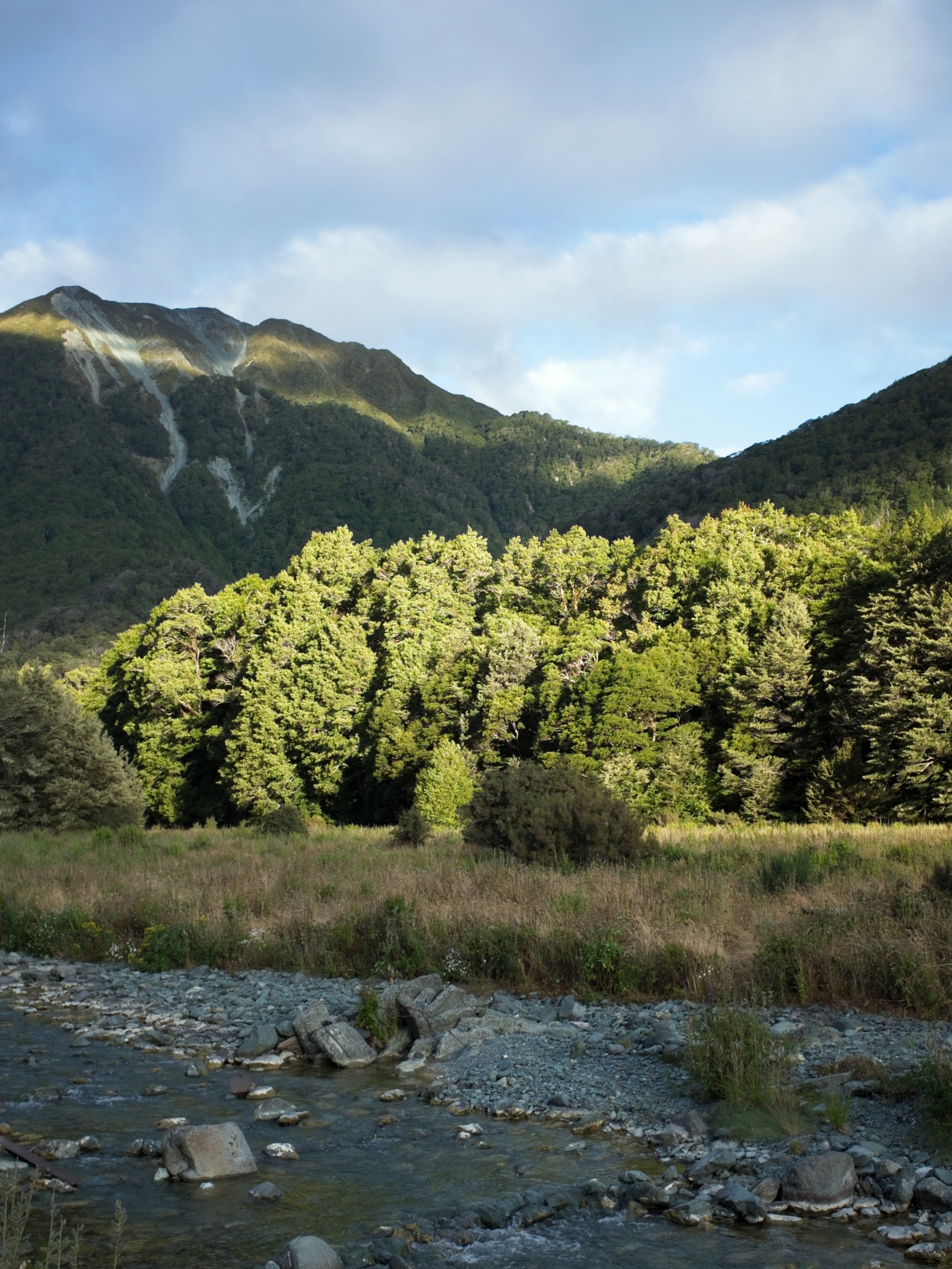 Light on the Hills